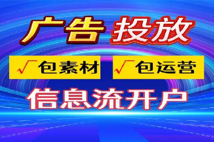 成功SEM代理案例：精准投放的策略